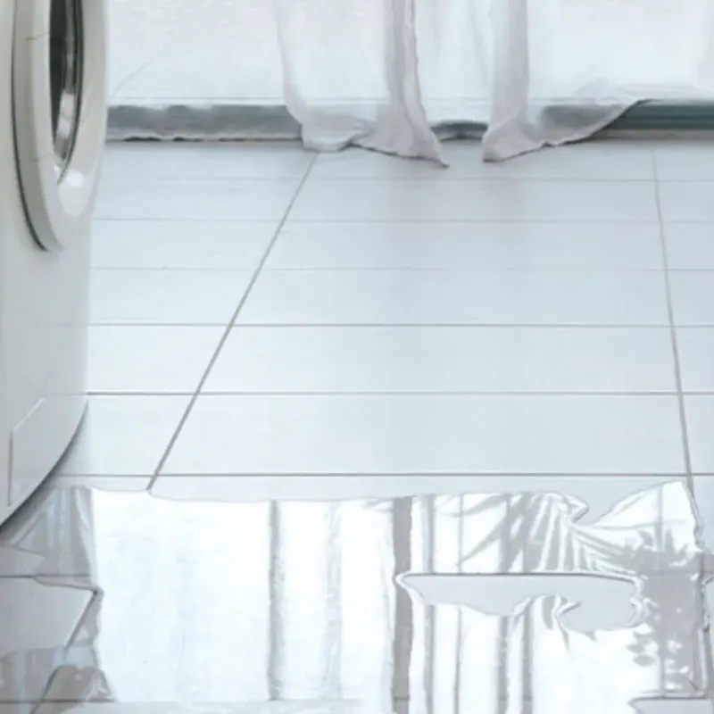 Appliance Leak Cleanup in Lake County, FL