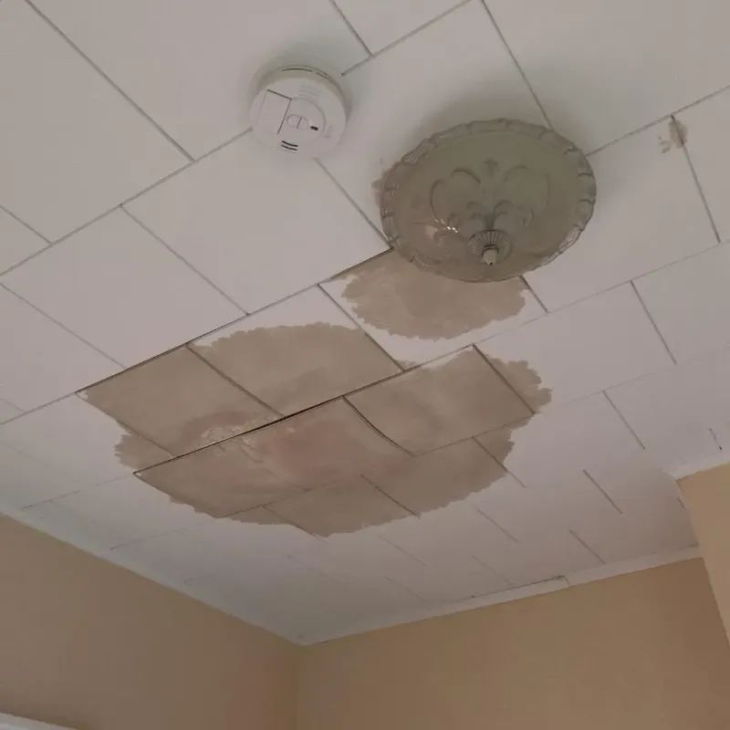 Ceiling Water Damage Repair in Lake County, FL